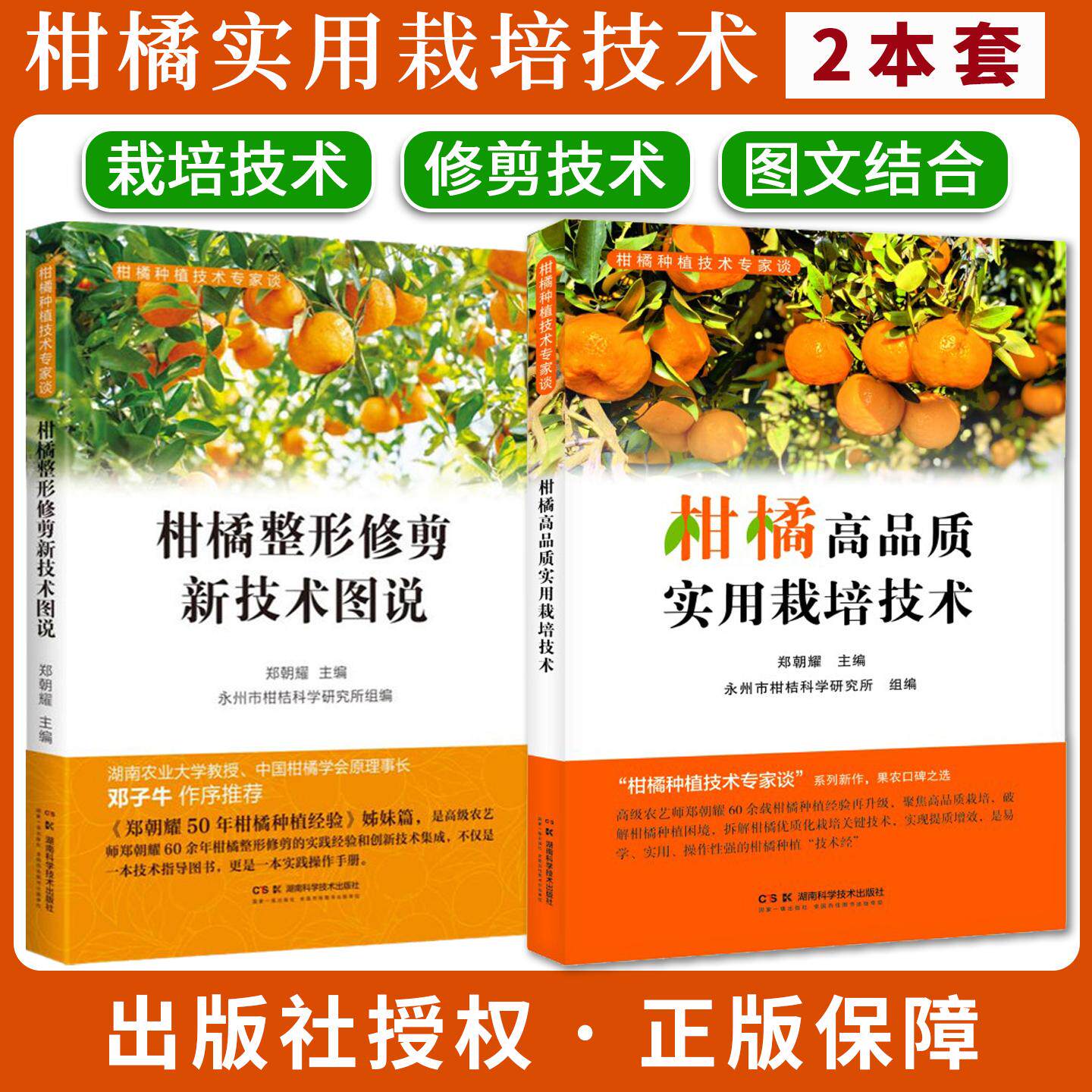【全2册】柑橘高品质实用栽培技术+柑橘整形修剪新技术图说 郑朝耀 80多岁一线专家匠心之作，全流程覆盖柑橘优质高产栽培