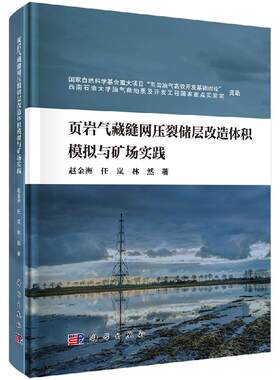 页岩气藏缝网压裂储层改造体积模拟与矿场实践