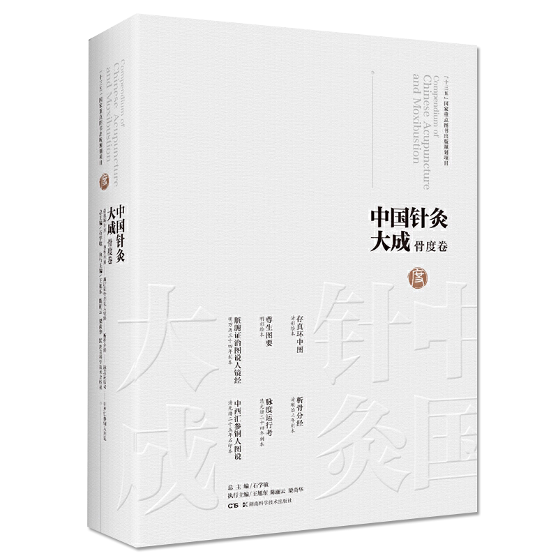 中国针灸大成骨度卷 存真环中图尊生图要脏腑证治图说人镜经析骨分经脉度运行考中西汇参铜人图说 石学敏、王旭东9787571008208