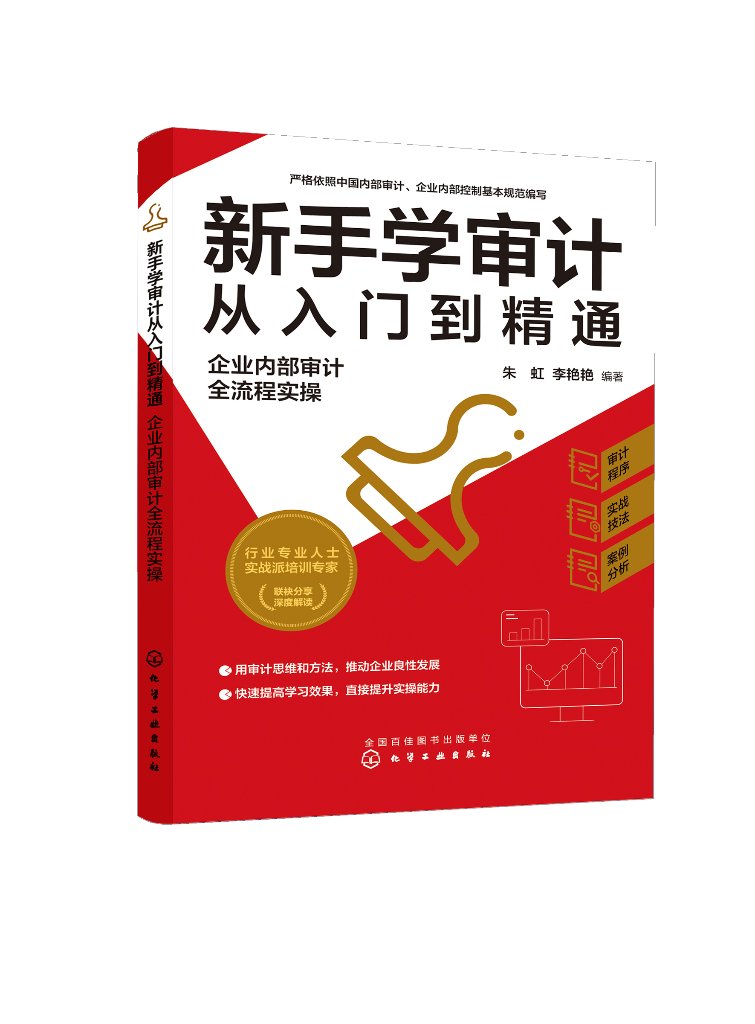 新手学审计从入门到精通:企业内部审计全流程实操 朱虹 化学工业出版社9787122374851