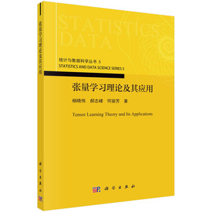 正版书籍 张量学习理论及其应用 杨晓伟 郝志峰 何丽芳 科学出版社 9787030764577