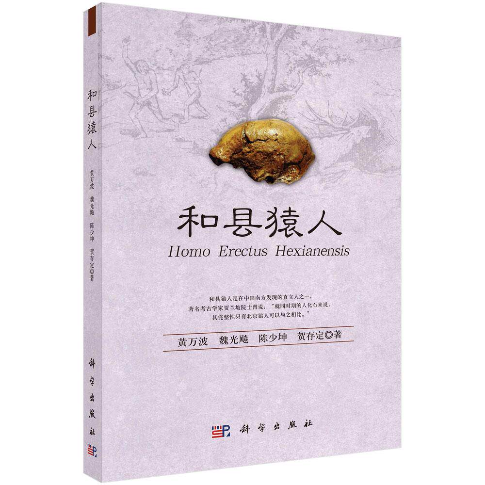 和县猿人