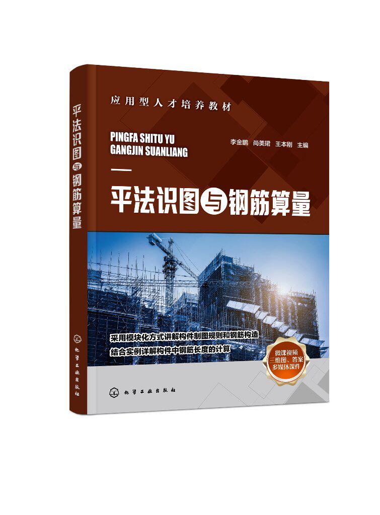 平法识图与钢筋算量(李金鹏) 化学工业出版社9787122426239