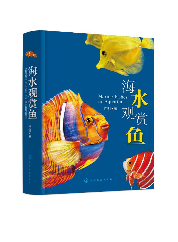 海水观赏鱼 白明 化学工业出版社9787122403155