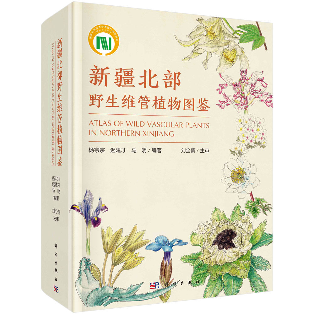 新疆北部野生维管植物图鉴杨宗宗