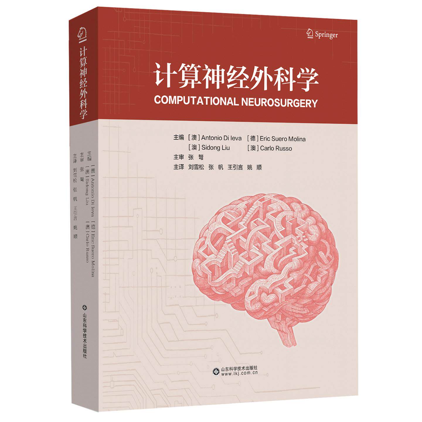 计算神经外科学 张弩 刘雪松 张帆 王引言 姚顺 神经肿瘤影像识别脑血管病血流动力学脑机接口放射外科创伤性脑损伤神经外科医师