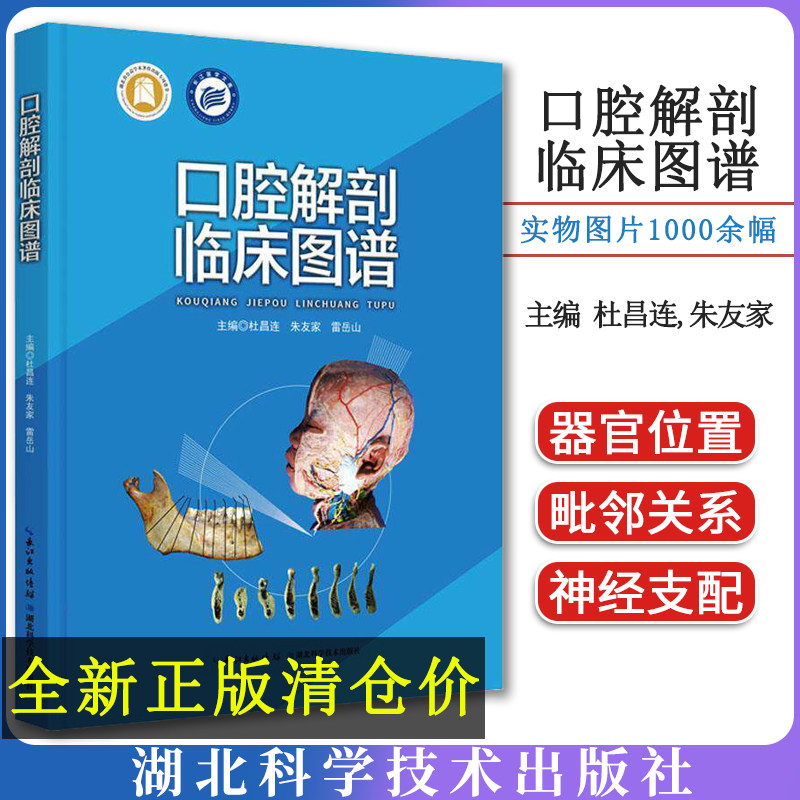 口腔解剖临床图谱 杜昌连 口腔颌面解剖 牙体外形 牙列咬合 湖北科学技术出版社9787570622528