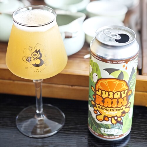气泡实验室精酿啤酒果雨浑浊IPA10周年三倍干投双倍浑浊ipa