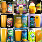 新西兰进口车库计划IPA日出山谷双倍浑浊精酿啤酒绿颊鹦鹉合酿