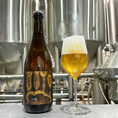 FEVER国产精酿高分啤酒想象中的雨 农舍艾尔 赛松750ml