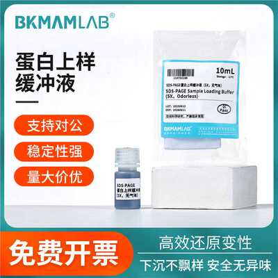 比克曼生物蛋白上样缓冲液SDS-PAGE还原型电泳实验Loading buffer