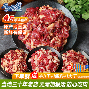 马晓马佳齐齐哈尔烤肉半成品烧烤 烤肉食材家庭拌肉套餐4牛肉新鲜