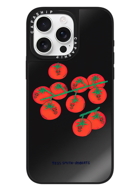 CASE适用苹果15iPhone14plus16黑镜13promax17磁吸户外聚餐TessSmith-Robertsxr手机壳12防摔11新xs保护套tif