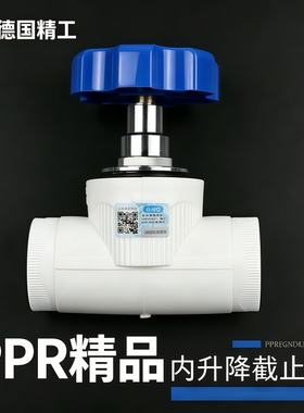 德国进口上海日丰PPR升降式截止阀4分20水管阀门闸阀开关手柄水阀