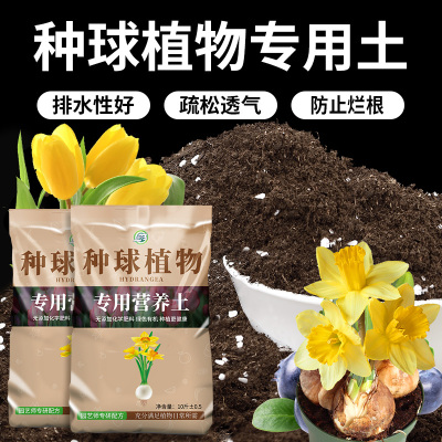 球根专用土种球专用土球根植物专用土球根专用肥园艺