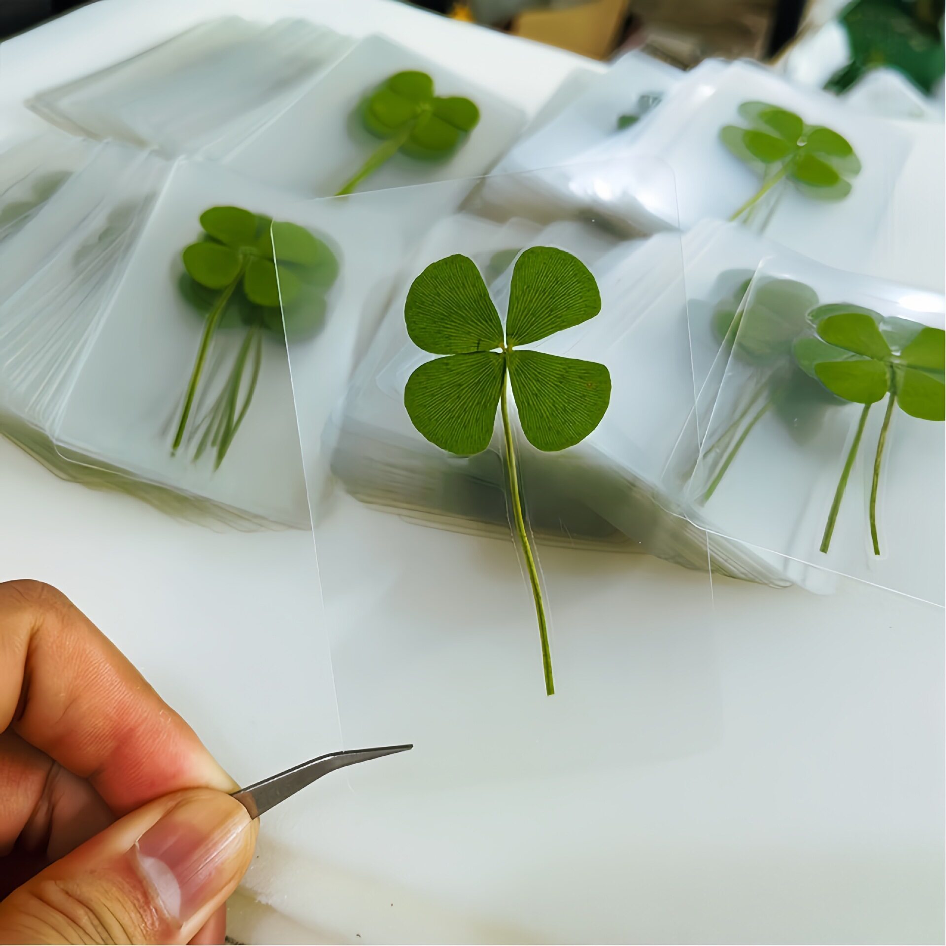四叶草透卡礼物透明卡百搭简约风饰品装饰书签全新款许愿治愈