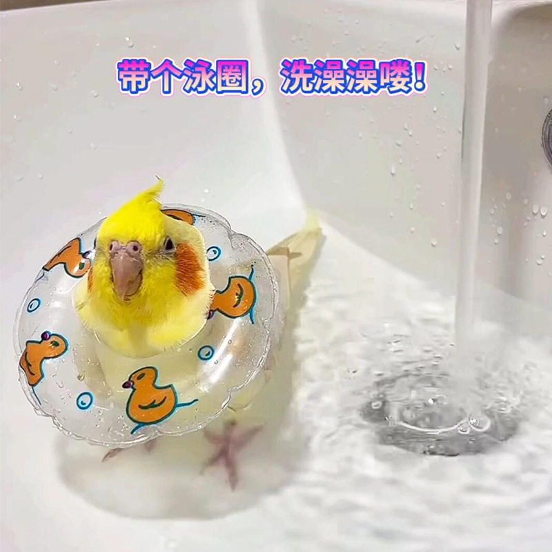 鹦鹉游泳圈道具小鸟玩具小宠物用拍摄乌龟泳圈装饰解闷洗澡解压,玩具/童车/益智/积木/模型,其它玩具,淘宝优惠券,粉丝福利购,淘宝优惠卷