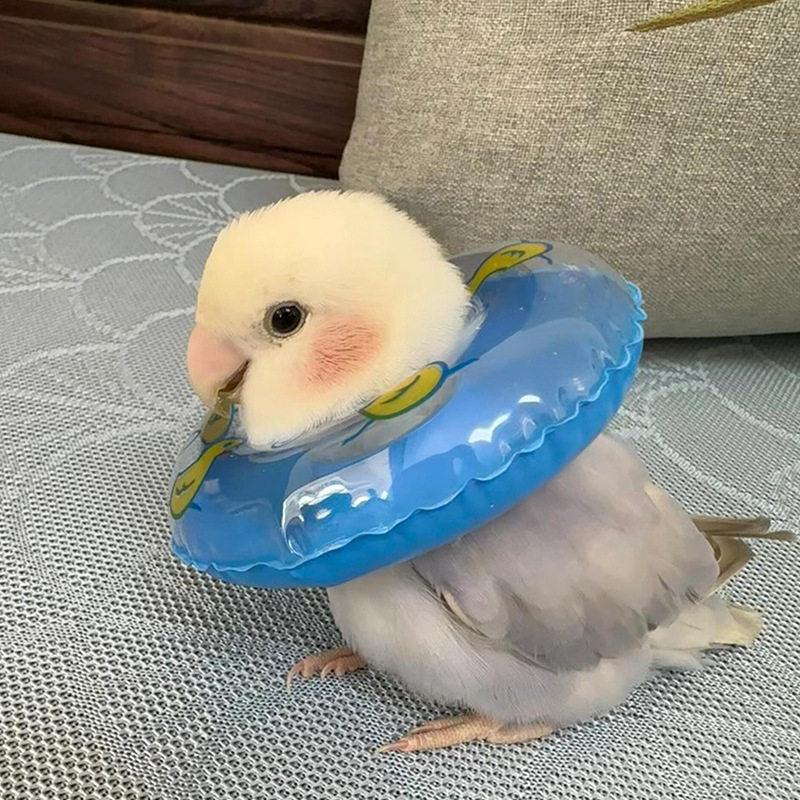小仓鼠泳圈洗澡装饰鹦鹉游泳圈拍摄小宠物用乌龟泳圈道具解闷解压,玩具/童车/益智/积木/模型,其它玩具,淘宝优惠券,粉丝福利购,淘宝优惠卷