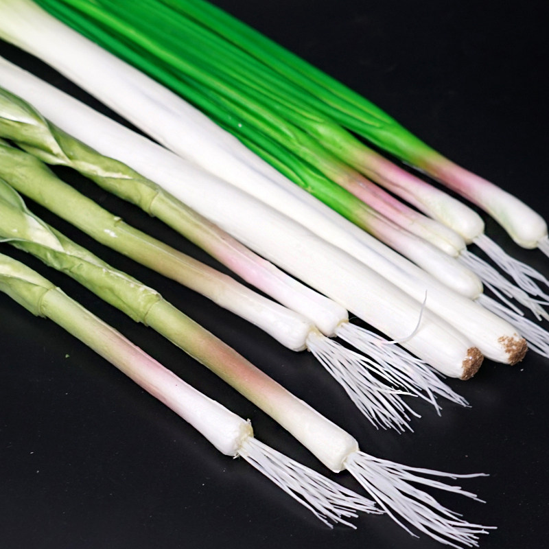 仿真葱pu假大葱模型蔬菜食品摄影影视橱柜道具儿童早教大蒜葱玩具