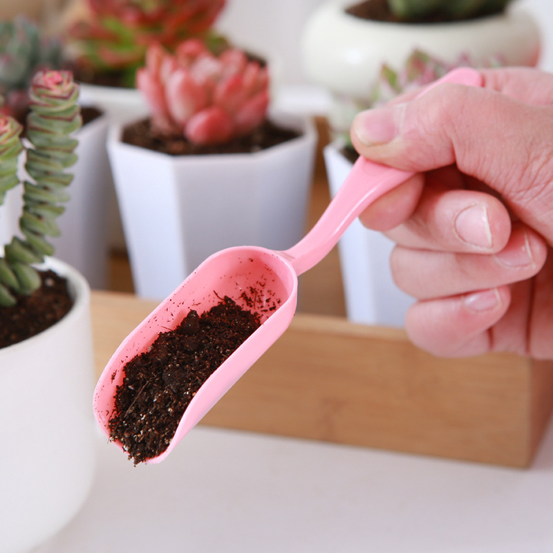 工具套装多肉种植铺面勺起苗器种花四件套圆筒打孔器园艺工具铲子