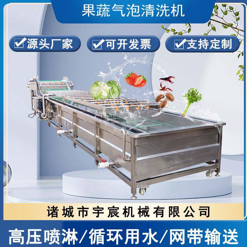 中房净菜加工生产线全自动臭氧洗菜机木耳菜乌塌菜气泡清洗机