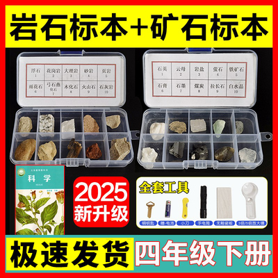 小学生矿石标本四年级儿童天然