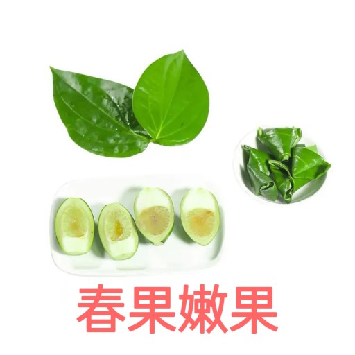 海南陵水乐东青槟榔生槟榔果现摘新鲜嫩槟榔散装生槟榔带配料包邮