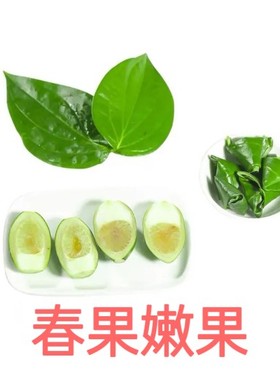 海南陵水乐东青槟榔生槟榔果现摘新鲜嫩槟榔散装生槟榔带配料包邮