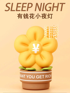 男孩和女朋友 给 有趣和丰富 女孩生日礼物 中国情人节 朋友