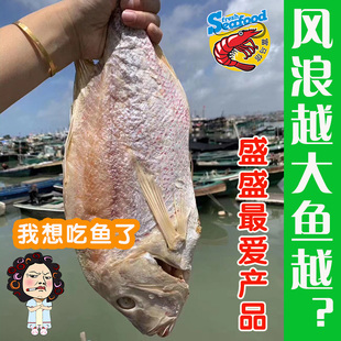 大红鱼红衫鱼刀里鱼干海鲜干货新鲜深海鱼干咸鱼渔民自晒2-3斤/条