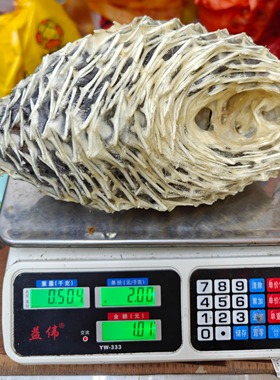 特大号刺龟皮刺豚鱼干渔民自晒深海天然刺龟鱼皮足干止咳化痰养胃