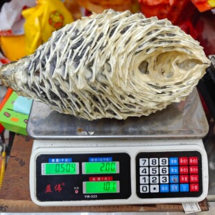 特大号刺龟皮刺豚鱼干渔民自晒深海天然刺龟鱼皮足干止咳化痰养胃