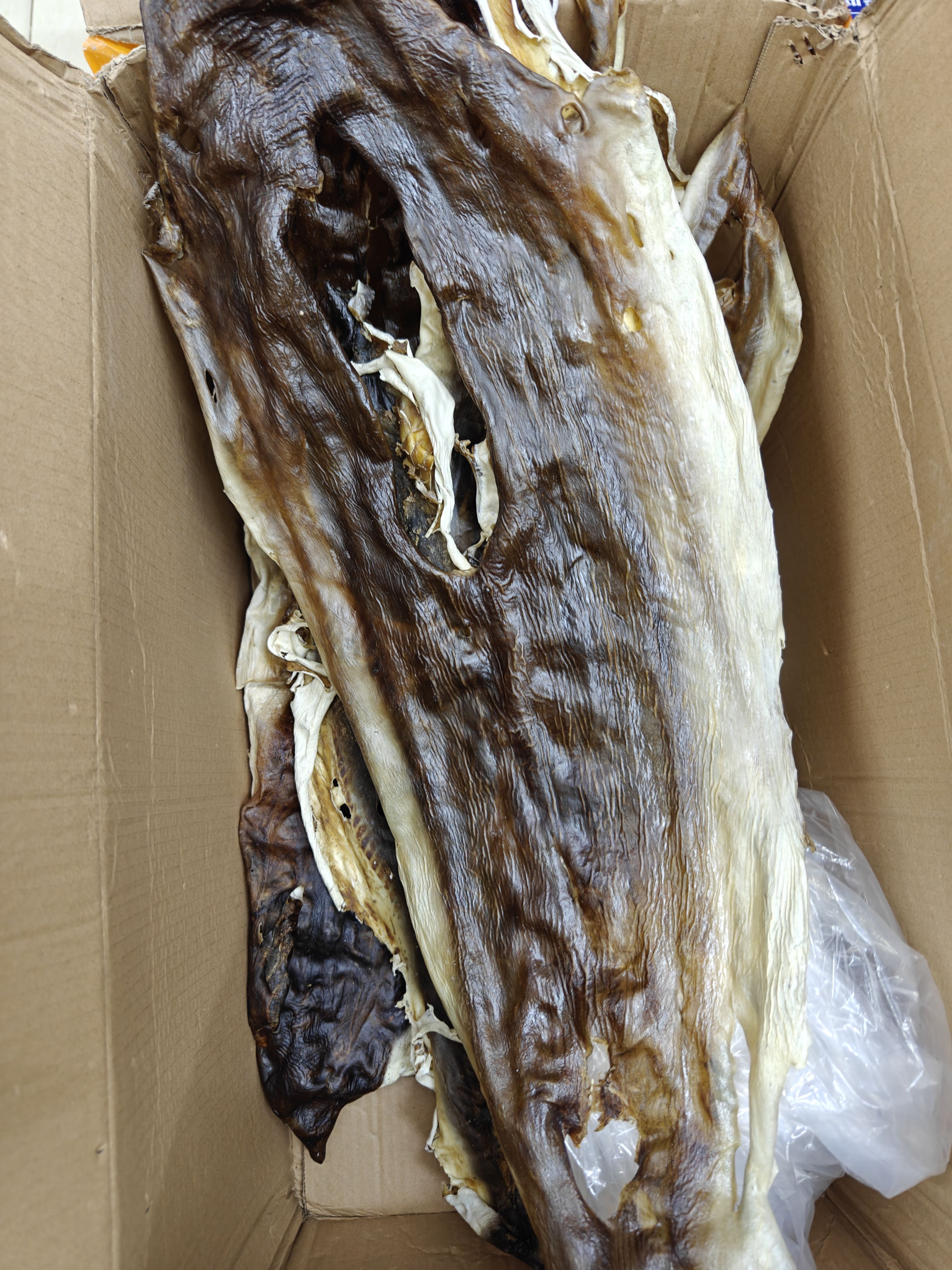 足干深海鯊魚皮干貨大沙魚皮干海鮮已去沙足干全國發(fā)陽江貨煲湯商