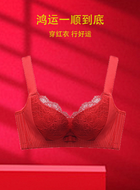 Rephresh/瑞法斯红色本命年内衣女薄款上托收副乳防垂文胸5710