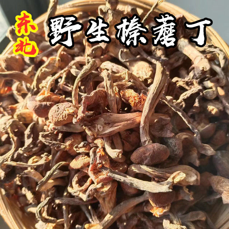 新货东北野生榛蘑丁干货长白山特产无根蘑菇小鸡炖蘑菇榛蘑丁香菇