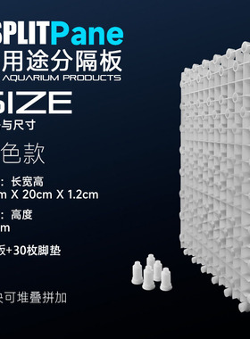 鱼缸底滤板水族箱滤材垫板隔离板乌龟缸晒台网格板鱼缸底滤垫板