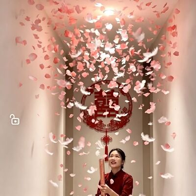 网红抖音花瓣羽毛礼花筒