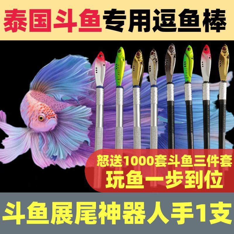 斗鱼棒泰国斗鱼逗鱼棒训练棒斗鱼笔斗鱼棒子工具用品斗鱼逗引棒