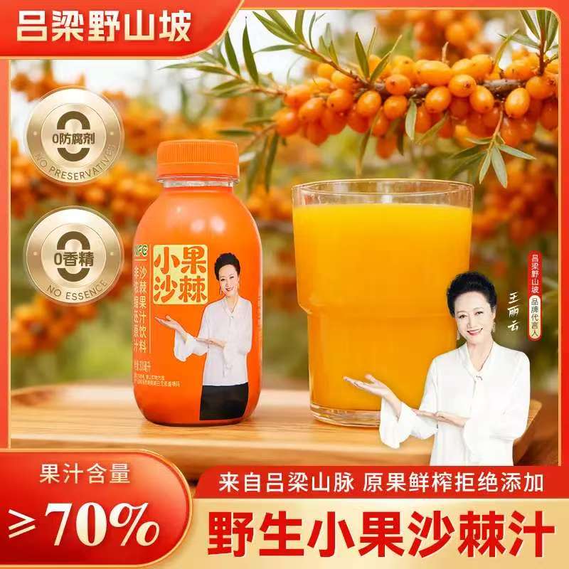 吕梁野山坡野生小果沙棘汁原果鲜果味/风味/果汁饮料