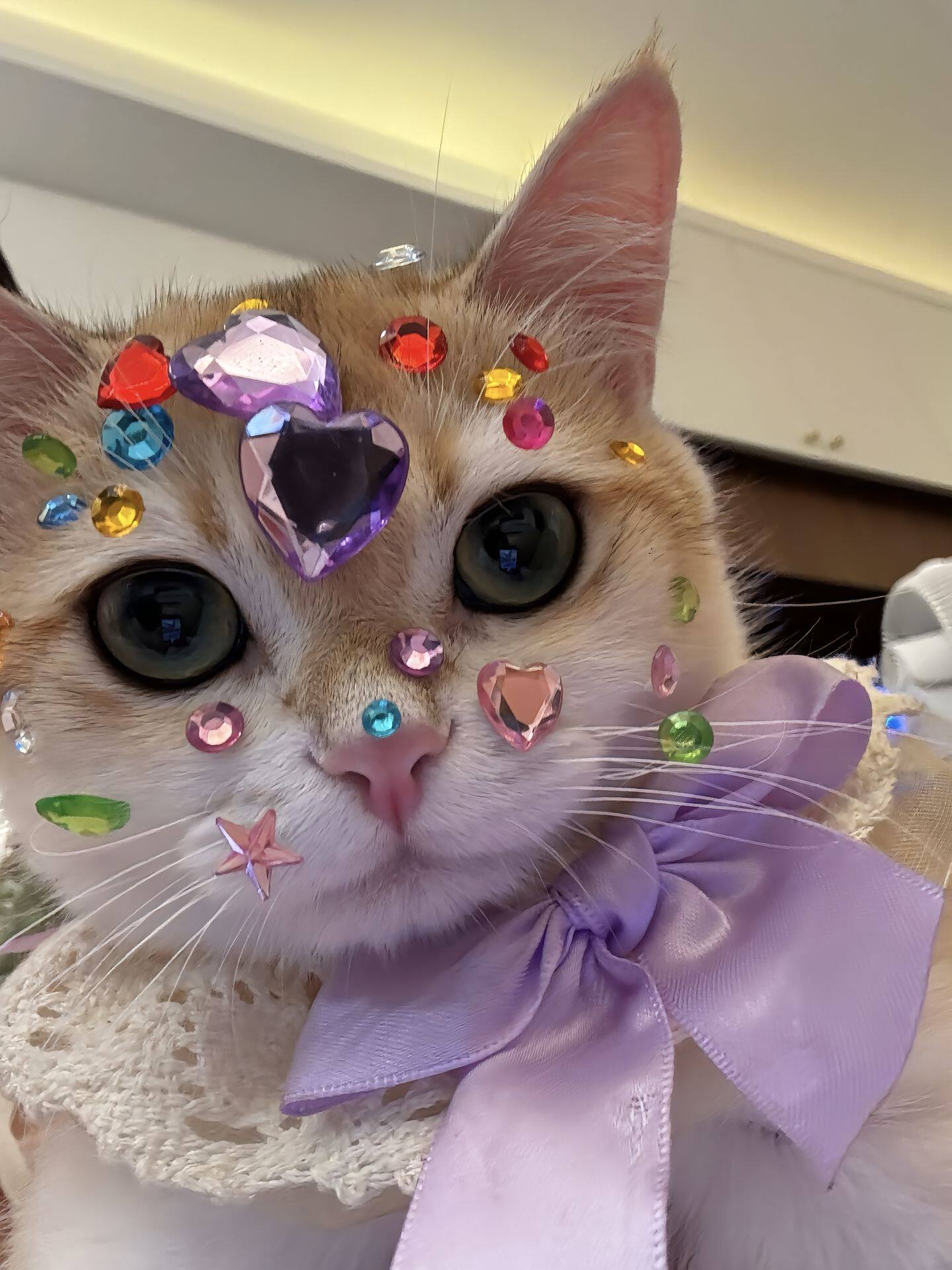 狗狗脸上贴钻装饰品拍照道具宠物猫咪宝石贴纸爱心水晶贴diy奖励