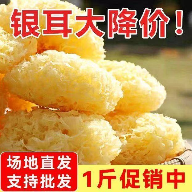 福建古田农家银耳无硫熏干货特产白木耳糯耳雪耳百合莲子羹500g,粮油调味/速食/干货/烘焙,银耳/冻干银耳及银耳制品,淘宝优惠券,粉丝福利购,淘宝优惠卷
