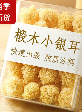 椴木小银耳干货古田农家特产新货无熏硫白木耳糯耳雪耳莲子百合羹