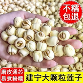 建宁莲子新货磨皮去芯白莲子非特级干货煲汤煮粥滋补 足斤足两