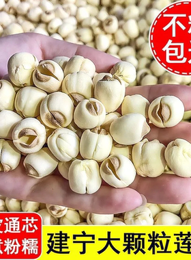 【足斤足两】建宁莲子新货磨皮去芯白莲子非特级干货煲汤煮粥滋补