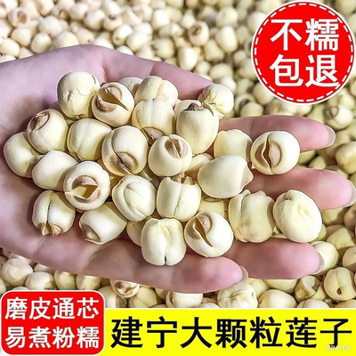 【足斤足两】建宁莲子新货磨皮去芯白莲子非特级干货煲汤煮粥滋补