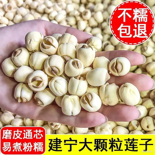 【足斤足两】建宁莲子新货磨皮去芯白莲子非特级干货煲汤煮粥滋补