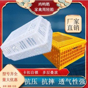塑料鸡笼运输用家禽周转箱筐成鸡鸭鹅兔鸽子笼家用周转框运输笼