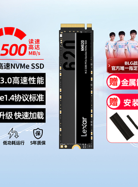 雷克沙NM620固态硬盘M.2笔记本电脑512G/256GB台式机1T2TB移动SSD
