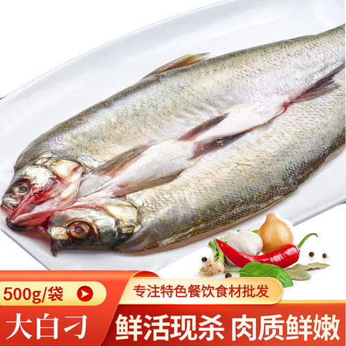 荷辉大刁子鱼湖北荆州鲜活