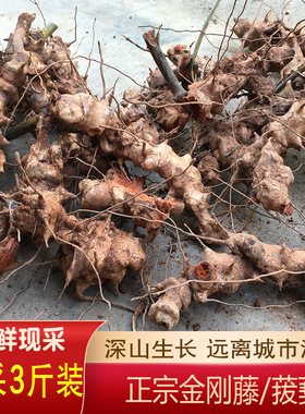 金刚藤头500g农家现挖新鲜菝葜铁菱角泡酒原料冷饭头铁刺苓金刚根